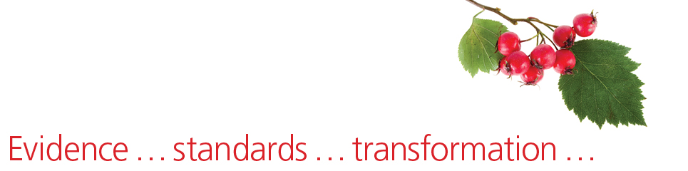 Evidence standards transformation